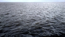 The Wadden Sea this afternoon at Holwerd Friesland 