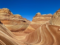 The Wave Marble Canyon Arizona via The Wire Pass Trail Head in Utah   IG sjvoth