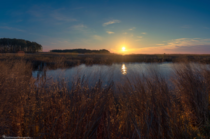 The Winter Sun rises over the Marshes of Blackwater Wildlife Refuge Maryland 