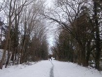 The winter walk home