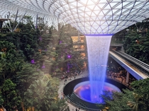 The worlds tallest indoor waterfall Designed by architect Moshe Safdie Rain vortex Jewel Changi Singapore 