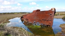 The wreck of the MV Excelsior in Mutton Cove South Australia 