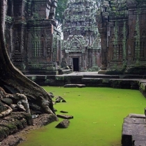 The -year-old temple of Ta Prohm Cambodia