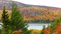 Theres few things more colorful than Maines Acadia National Park in fall 