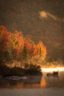 Theres nothing more magical than waking up to light like this Groton State Forest in Vermont 