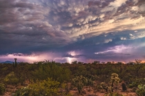 These dramatic clouds and lightning in southern Arizona 