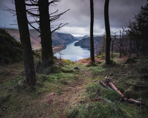 These trees perfectly framed the view of Thirlmere amp its fells Lake District England 