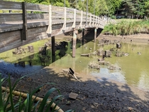 They drained a man-made lake near a Costco and discovered a cart return under the bridge