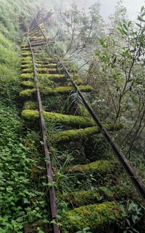 This abandoned rail road in Hemlock Forest Taiwan