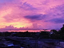 this beautiful purple sunset