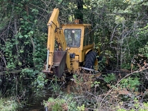 This excavator I found in a swamp