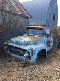 This Ford Pickup at my Grandmas old farm