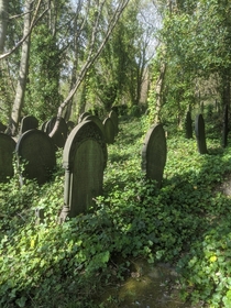 This graveyard in Sheffield UK