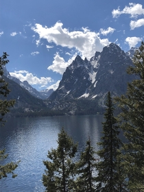 This is a photo I took at Grand Teton NP Wyoming 
