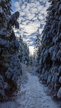 This is the way Mt Baker-Snoqualmie National Forest WA 