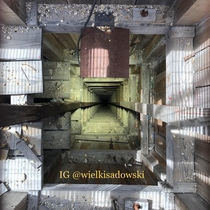 This mineshaft is over  kilometer deep all of it a straight drop Would you be willing to lean over it like this 