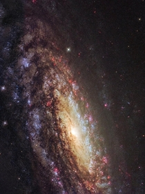 This NASAESA Hubble Space Telescope image shows a spiral galaxy known as NGC  First spotted by the prolific galaxy hunter William Herschel in  NGC  is located about  million light-years away in the constellation of Pegasus The Winged Horse