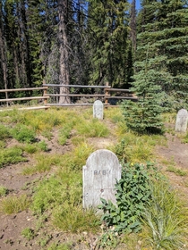 This old cemetery and this gravestone that reads baby Near Florence ID 