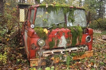 This old Ford C- has seen better days