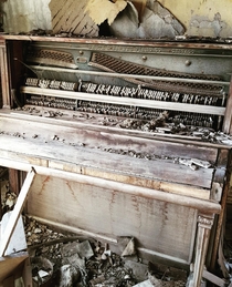 This old piano in an abandoned house I found near where I grew up some years ago SE Nebraska