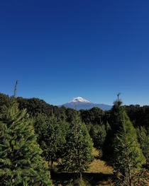This photo was taken by me the last December I was in a family trip to buy a Christmas tree then I looked to my right and saw this It is on Mexico more specifically its the Popocatepetl volcano Puebla Mexico 