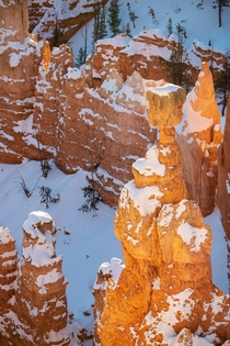 Thors Hammer Bryce Canyon National Park Utah The fresh snow acted as a natural reflector helping this famous hoodoo to stand out from those in the background 
