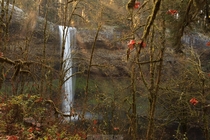 Through the Trees Silver Falls Oregon  by Jarred Decker jdphotopdxcom