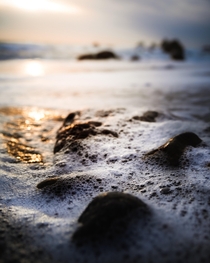Tide bubbles on the pacific coast Bodega Bay CA 