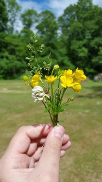 Tiny wildflower bouquet can you find the hitchhiker