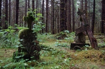 Tlingit Cemetery Excursion Inlet Alaska OC