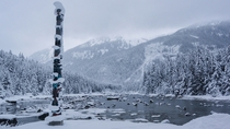 Tlingit Totem Pole Southeast Alaska 