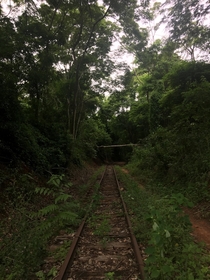 Today I went exploring an abandoned railroad