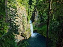 Toketee Falls in Oregon   x 