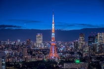 Tokyo and the Tokyo tower 