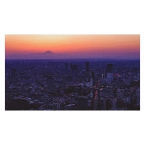 Tokyo at dusk 