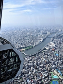 Tokyo from the top of the Skytree m above sea level 