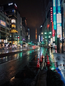 Tokyo in the Rain 
