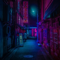 Tokyo Midnight