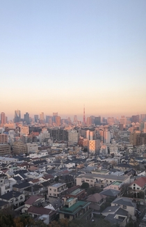 Tokyo Skyline - Viewed from South of Shibuya