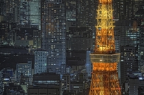Tokyo Tower Nightscape 
