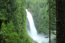 Took a soggy morning hike up to Wallace Falls WA It was worth it 