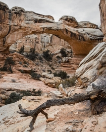Took during a hike at Capitol Reef UT 