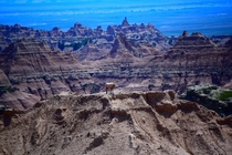 Took this in the Badlands last summer 