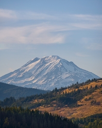 Took this photo of Mt Adams while stopped in Rockford OR About  miles away 
