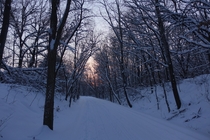 Took this while snowmobiling on the Gandy Dancer trail in Wisconsin last weekend 