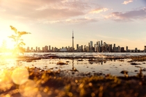 Toronto Skyline Photo credit to Andre Furtado