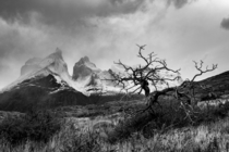 Torres del Paine in black and white Chile  Instagram micomicky
