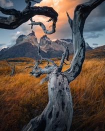 Torres del Paine NP Chile  by marcograssiphotography