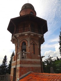 Tower of an abandoned mansion in the forest full album in coments