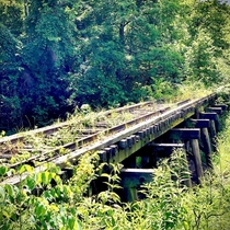 Tracks to No Where Fairfield Co Ohio ginamosheroriginal 